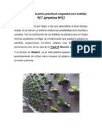 Realización de Huertos Prácticos Colgantes Con Botellas PET (PRACTICO 1)