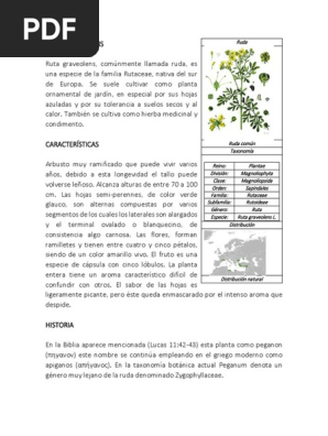 Ruda Bienestar Naturaleza