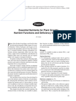 Essential Nutrients 2 PDF