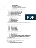 Introducción Indice Procesal 