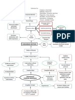 Epidural Flow Chart