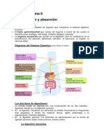 Resumen Tema 6 PDF
