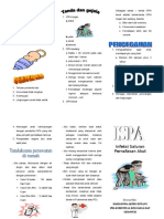 4.3 Leaflet Ispa