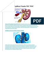 Askep CKD Aplikasi Nanda NIC NOC