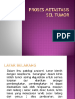 Proses Metastasis Sel Tumor