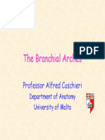 Brarches.pdf