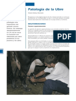 cys_5_Patologia_Ubre.pdf