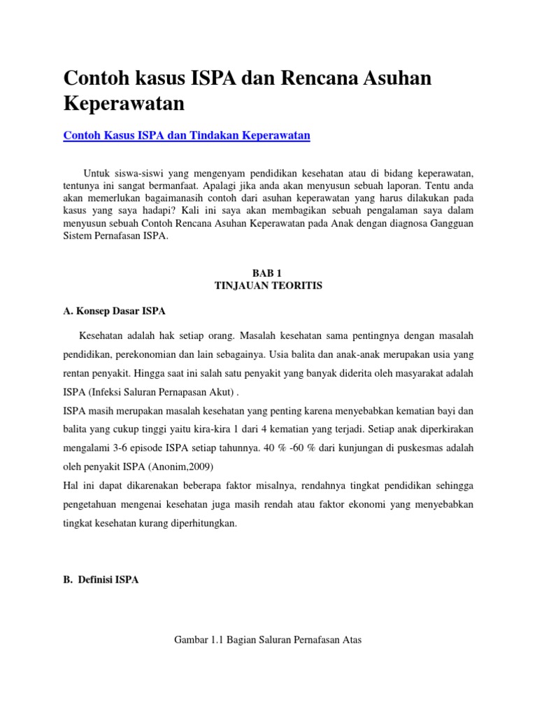 Contoh Kasus ISPA Dan Rencana Asuhan Keperawatan