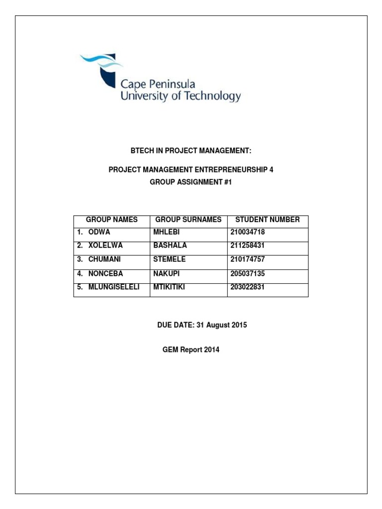 BTECH PROJECT MANAGEMENT GROUP ASSIGNMENT 1 | PDF | Entrepreneurship ...