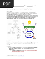 Photosynthesis Cellular Respiration Lab Key2