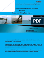 PescaComercialdelCamaron PDF