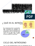 Ciclo Del Nitrogeno y Del Fosforo