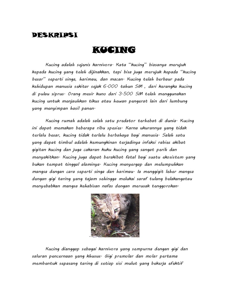 Deskripsi Lengkap tentang Kucing | PDF | Griya & Taman