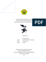 Laporan Praktikum Biologi Umum 1 PDF