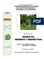 59236147-Region-Ica.pdf