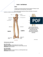 Articulaciones Del Codo PDF