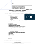 Guia para Elaboracion de Informe Prac Pre Profesionales PDF