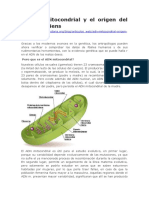 Adnmitocondrial PDF