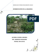 Monografia 1 Deforestacion