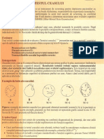 Testul Ceasului PDF