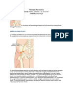 Meralgia Parestésica: Causas, Síntomas y Tratamiento de la Mononeuropatía del Nervio Femorocutáneo Lateral