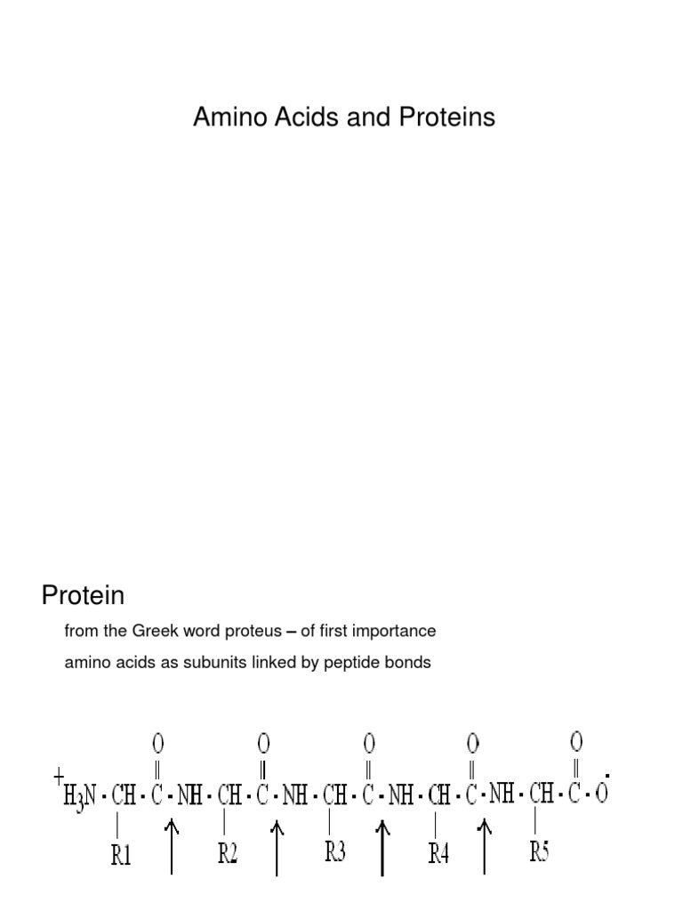 Amino Acids and Proteins | PDF | Alpha Helix | Beta Sheet
