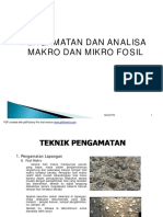 Pengamatan Dan Analisa Makro Dan Mikro F