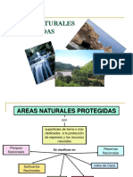 areasnaturalesprotegidas-120702114244-phpapp01.pptx