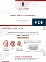 Enfermedad Renal Cronica de Causas No Tradicionales