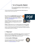 1.Conceptos básicos.pdf