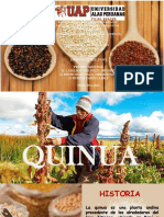 PPT-QUINUA