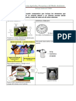 Actividad 2 Biologia Ambiental