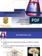 Analsisliquidocefalorraquideofinal 110908142012 Phpapp02 PDF