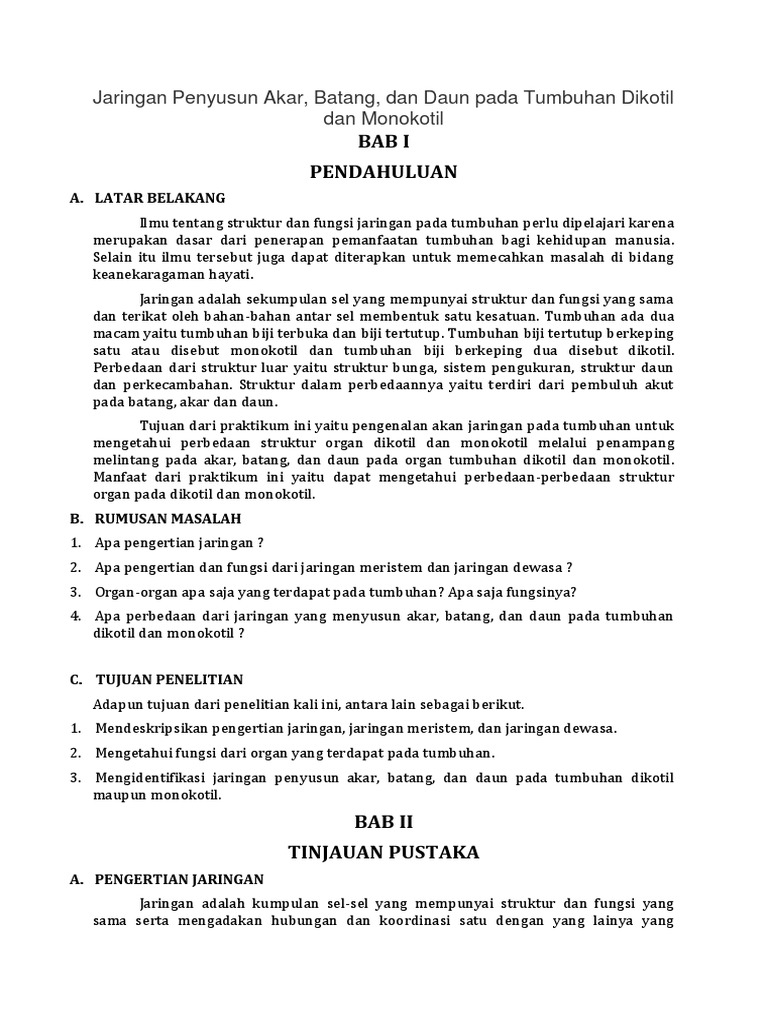 Jaringan Penyusun Akar