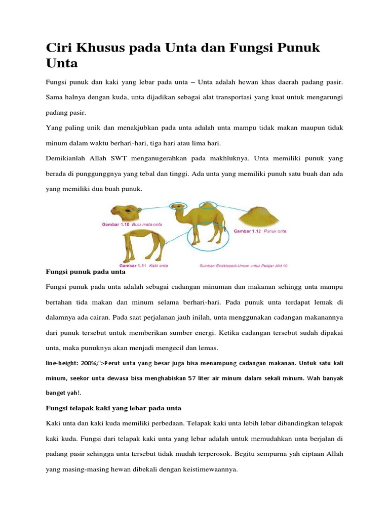 Ciri Khusus Pada Unta Dan Fungsi Punuk Unta PDF