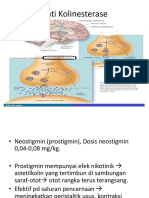 Anti Kolinesterase