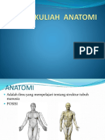 Anatomi+umum+ (Introduction) 0