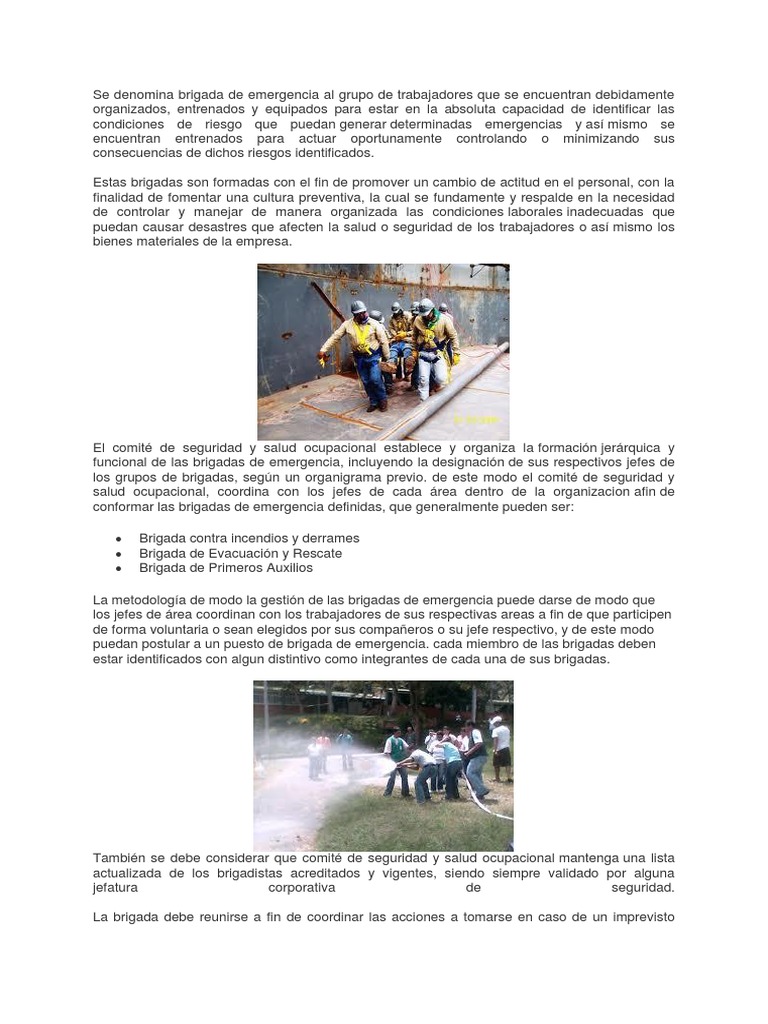Brigada de Emergencia: Organización y Funciones | PDF | La seguridad ...