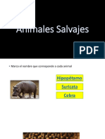 RepasoAnimales Salvajes