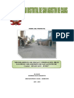 Proyecto Pavimento JR Los Pinos