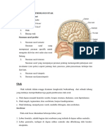 Stroke VC