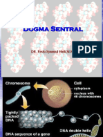 Dogma Sentral 09