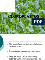 Cloroplastos