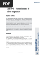 Aula Nº 8 Gerenciamento Do Risco Em Projetos