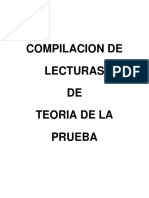 2060 Teoria de La Prueba II PDF