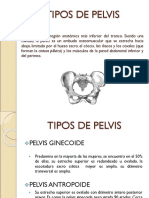 39064286-Tipos-de-Pelvis.ppt