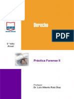 Practica Forense 2 DIAZ