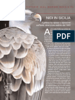 Primo Piano - Il Grifone in Sicilia PDF