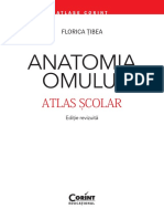 Atlas Anatomia Omului 
