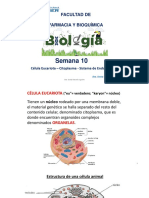 SEMANA 10 FB Citolasma-Sistema Endomembras